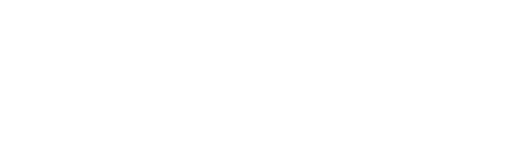 vibebrand transmedia